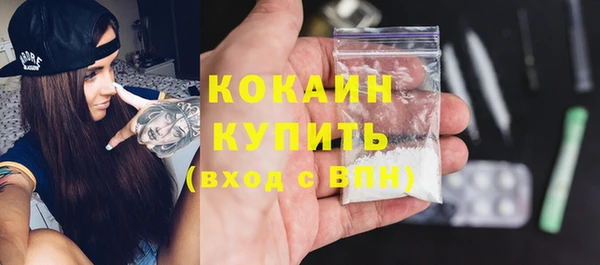 амф Верхний Тагил